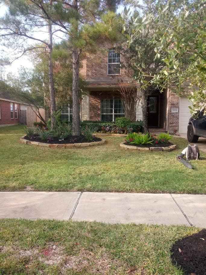 Beds re-cut, weeded and mulched with fresh planting at a traditional Houston home.