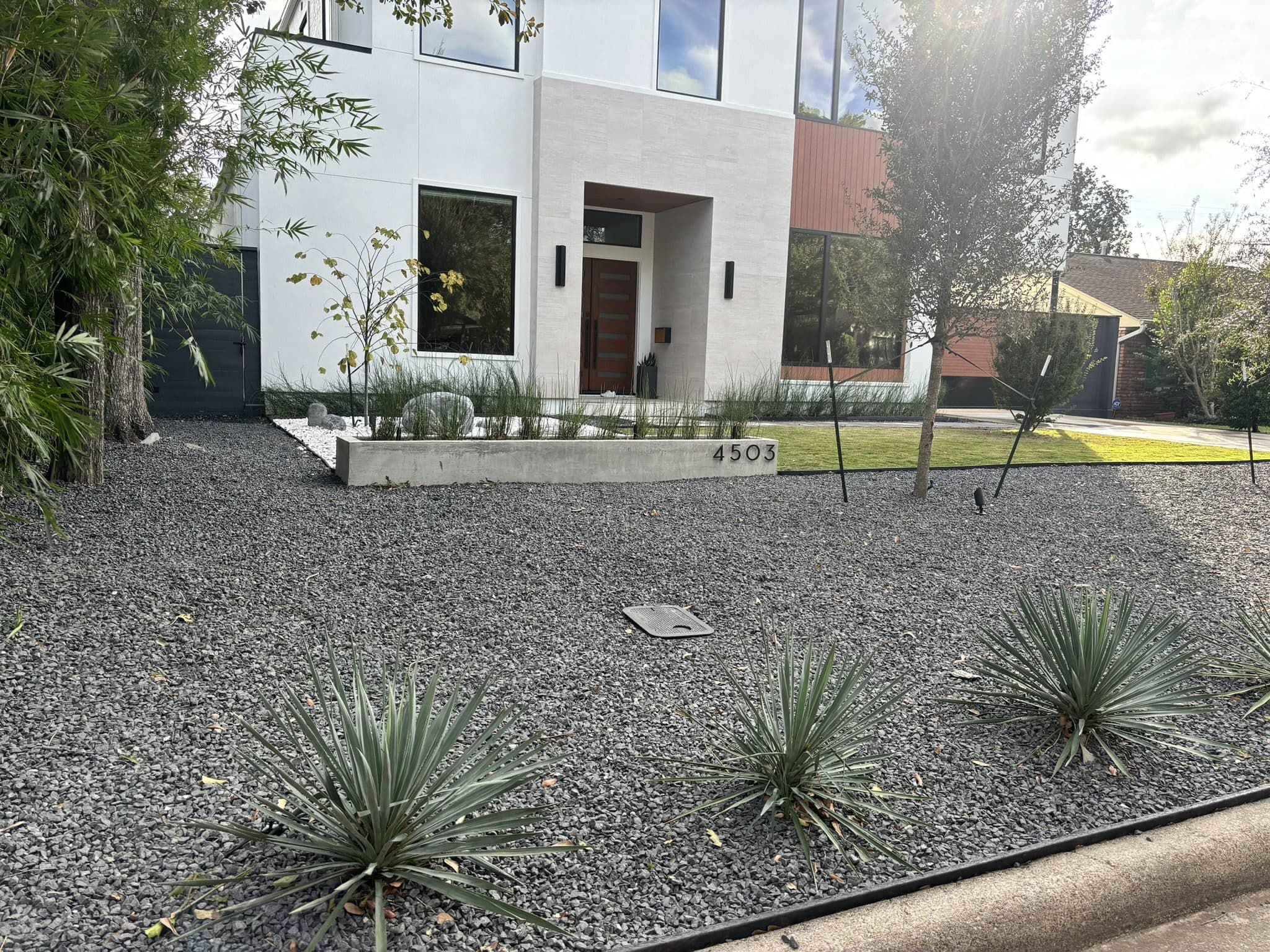 A gravel frontage planted with yuccas and grasses at a contemporary Houston home.