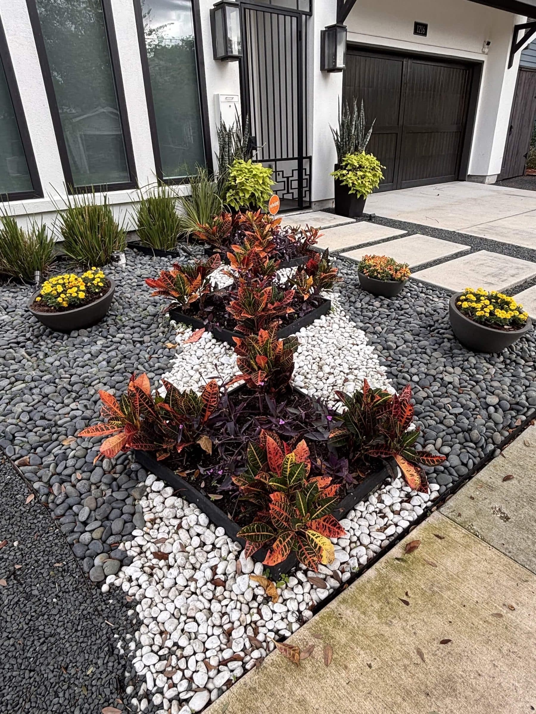 A geometric river-rock and white-stone entry bed planted with crotons and grasses at a modern home.