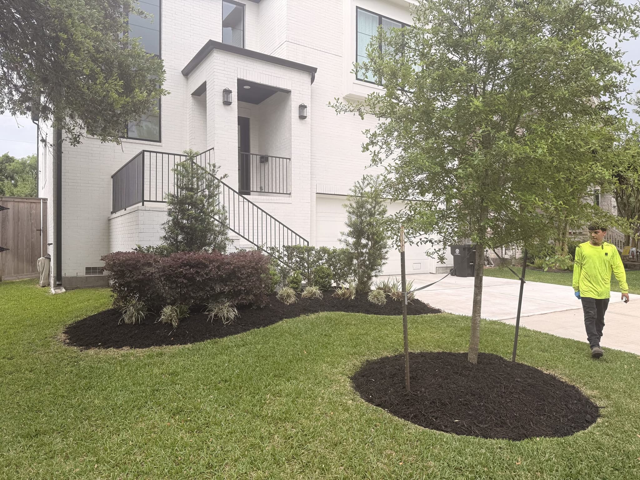 Fresh mulch beds and newly planted trees establishing the front landscape of a new build.