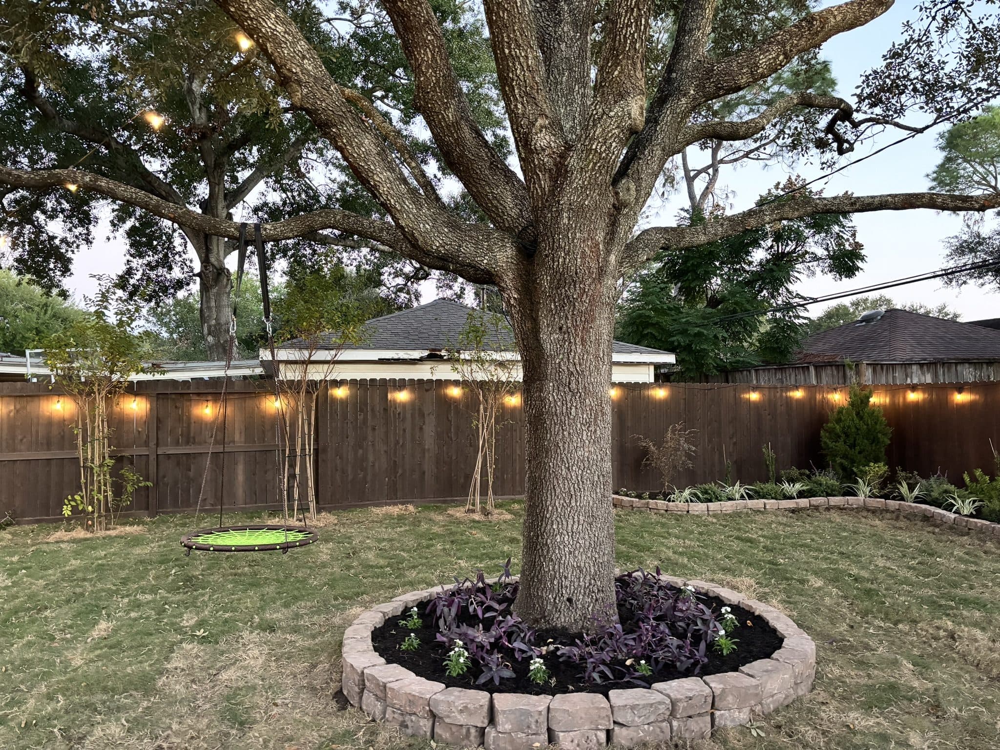 A stone tree ring planted with ornamental cabbage under a mature oak, with festoon lighting strung along the fence line.