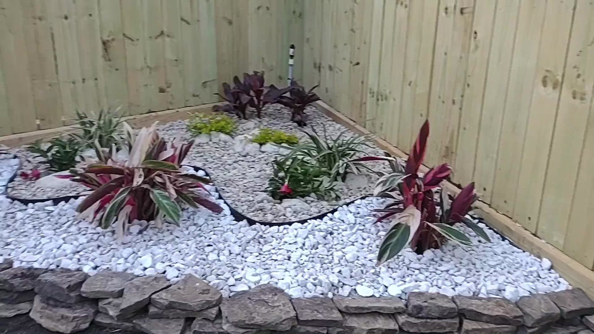 A stone-bordered corner bed filled with white rock and tropical colour against a cedar fence.