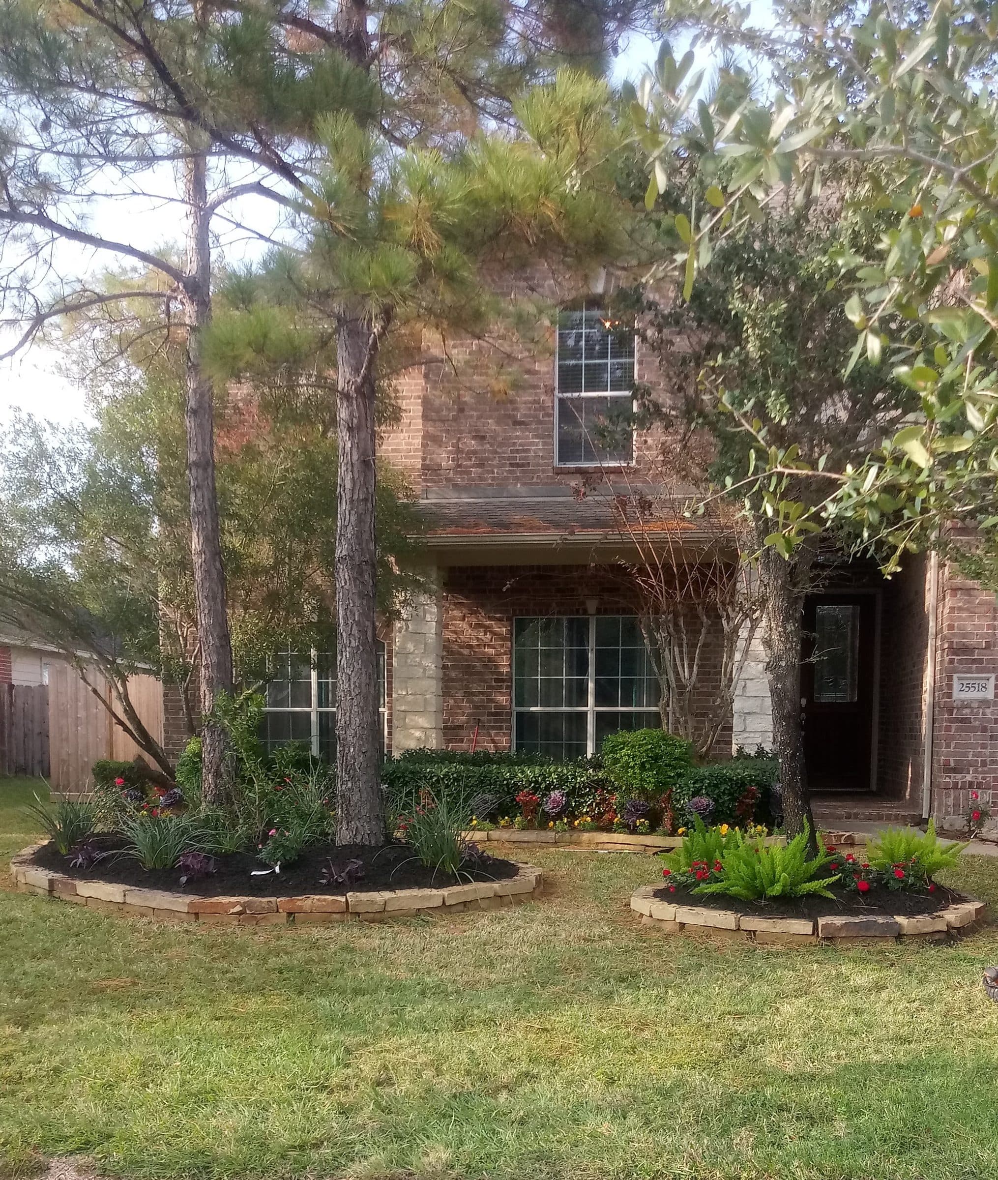 New foundation and island beds planted with palms, grasses and seasonal colour at a brick home.