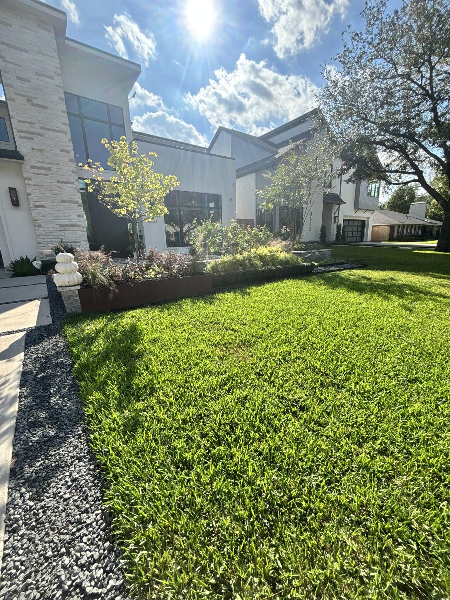 A dense, evenly cut lawn maintained on a recurring schedule in a modern Houston neighbourhood.